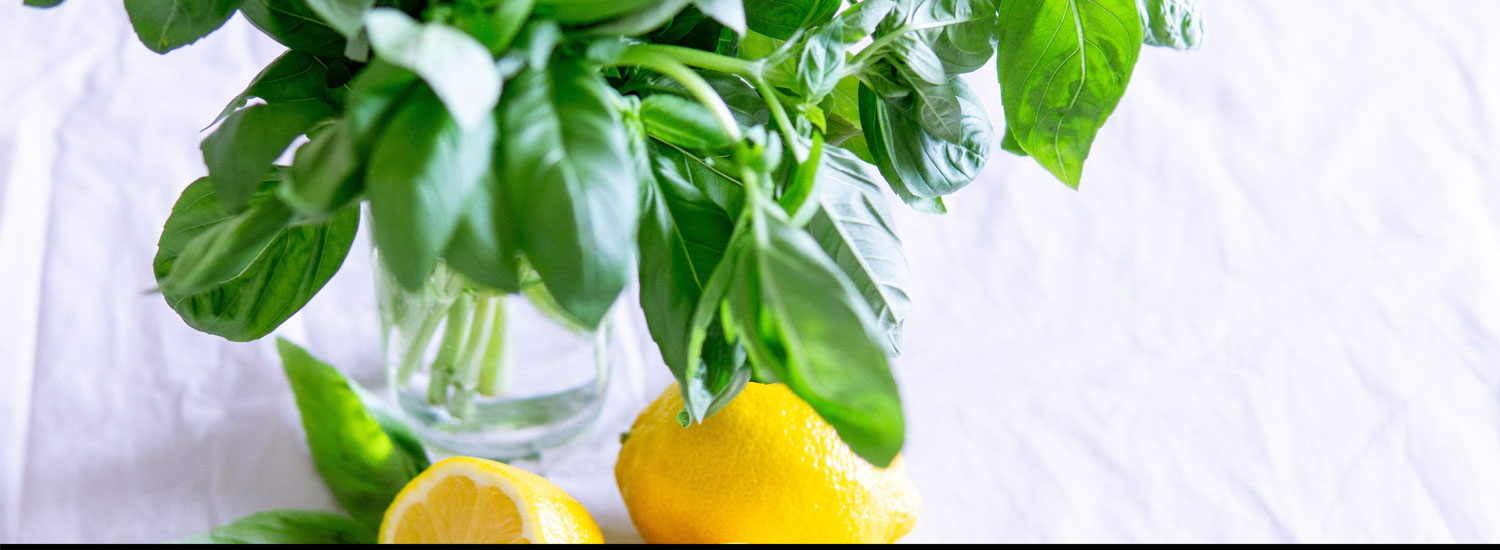 When Life Throws You Lemons…Pivot, Realign and Make Lemonade